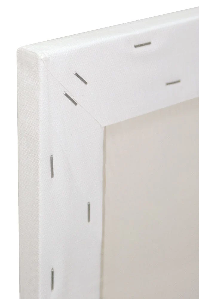 Single Thick Canvas Premium 40.6 x 50.8cm (16 x 20in) - Image 2